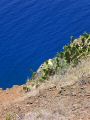 Madeira0759.JPG